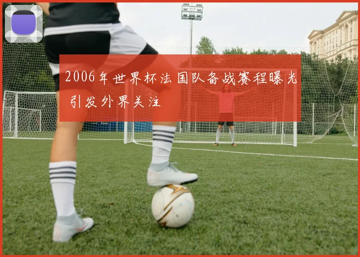 2006年世界杯法国队备战赛程曝光 引发外界关注